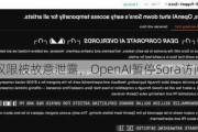 权限被故意泄露，OpenAI暂停Sora访问