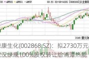 绿康生化(002868.SZ)：拟2730万元将武汉绿康100%股权转让给浦潭热能