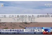 三北工程：已开工重点项目 56 个，造林种草约 4000 万亩