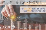 规模大增！资金涌入短债基金