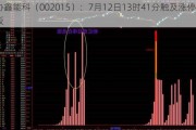 协鑫能科（002015）：7月12日13时41分触及涨停板