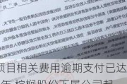 项目相关费用逾期支付已达6年 棕榈股份下属公司起诉海口市政府 涉案金额超5亿元