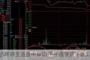 JS环球生活盘中异动 下午盘快速下跌5.33%