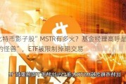 “比特币影子股”MSTR有多火？基金经理高呼是“不同的怪兽”，ETF被限制掉期交易