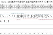 新相微（688593）盘中异动 股价振幅达6.68%  上涨6.89%（06-13）