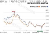 棕榈油：6 月价格区间震荡，下半年或重心上移