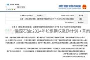 通源石油:2024年股票期权激励***（草案）