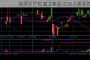 俄罗斯产区遭遇寒潮 全球小麦涨势莫测