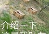 今世缘：平时在省内陪练的都是顶级选手，到省外也是有机会的