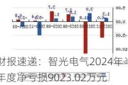 财报速递：智光电气2024年半年度净亏损9023.02万元