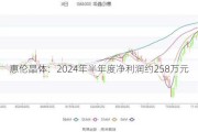 惠伦晶体：2024年半年度净利润约258万元