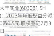 大丰实业(603081.SH)：2023年年度权益分派10派0.5元 股权登记7月3日