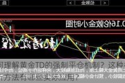 如何理解黄金TD的强制平仓机制？这种机制分析方法有哪些实际应用？