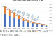 锂电池负极材料厂商：出货量增长20%，预计2024年盈利能力回升