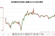 雷曼光电大幅低开 跌逾11%