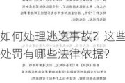 如何处理逃逸事故？这些处罚有哪些法律依据？