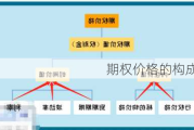 期权价格的构成因素