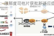 信立泰：恩那度司他片获批新适应症临床试验