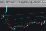 德康医疗盘中异动 下午盘大幅上涨5.02%报73.84美元