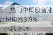 周三热门中概股普涨 台积电涨3.9%，小鹏涨9%