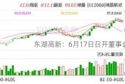 东湖高新：6月17日召开董事会会议