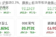 午评：沪指跌0.3%，煤炭、石油等板块走低，半导体板块爆发