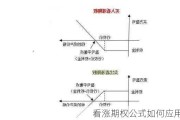 看涨期权公式如何应用