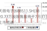 天微电子(688511.SH)3820.77万股限售股将于7月31日上市流通