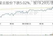 星云股份下跌5.02%，报19.29元/股