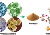 基础化工行业深度研究：氨基酸：助益粮食安全 借力合成生物