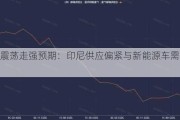 镍价震荡走强预期：印尼供应偏紧与新能源车需求支撑