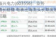 海兴电力(603556)：业务增长稳健 电表出海龙头长期发展可期