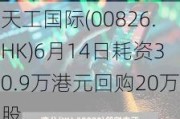 天工国际(00826.HK)6月14日耗资30.9万港元回购20万股