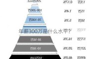 年薪300万是什么水平？