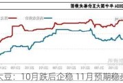 南方大豆：10月跌后企稳 11月预期稳步小涨