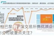 A股公司亮相巴黎，沪深交易所携优质企业到访法国，哪些上市公司被重点关注？