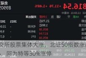 北交所股票集体大涨，北证50指数涨超3%，阿为特等30%涨停