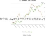 聚合顺：2024年上半年净利同比预增51.7%