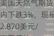 美国天然气期货日内下跌3%，现报2.870美元/百万英热