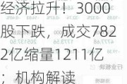 A股收评：三大指数集体收跌，创业板指跌1.31%，低空经济拉升！3000股下跌，成交7822亿缩量1211亿；机构解读