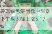 碧瑶绿色集团盘中异动 下午盘大幅上涨5.17%