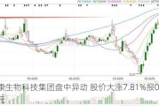 联康生物科技集团盘中异动 股价大涨7.81%报0.069港元