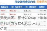 天茂集团：预计2024年上半年净利润为亏损4.2亿元~3.3亿元