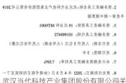 武汉当代科技产业集团股份有限公司关于公司及法人代表被限制消费的公告