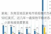 家电：东南亚地区家电市场规模约为450亿美元，近几年一直保持平稳状态，小家电接受度更高