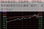 A股尾盘突发！中国神华、迈瑞医疗、华侨城A等多只巨头集体“跳水”，发生了什么？