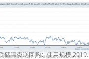 美联储隔夜逆回购：使用规模 2919.58 亿美元