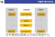 合作套保的策略与市场应用是什么