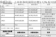 华特达因：上半年净利润同比增3.12% 拟10派5元