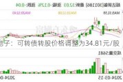 雅创电子：可转债转股价格调整为34.81元/股